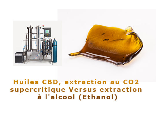 Huiles CBD, extraction au CO2 Versus extraction à l'alcool (Ethanol)